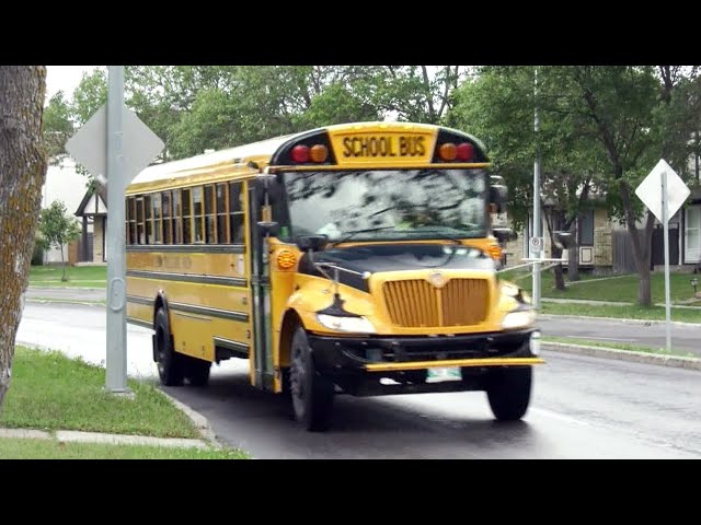 ⁣App glitch leads to bus drop-off chaos for young Winnipeg students