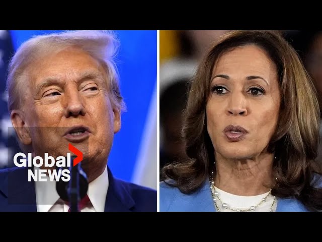 ⁣US election 2024: Harris, Trump head-to-head in polls with only 2 months to go