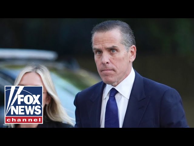 ⁣Whistleblower attorney on possible Hunter Biden guilty plea: 'Disservice to the American public