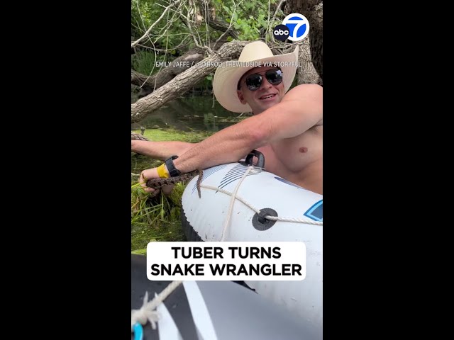 ⁣Crazy moment tuber casually grabs snake from underwater