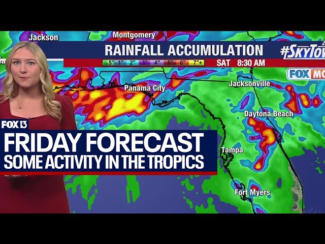 Tampa weather | northern front upping rain chances