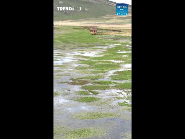 ⁣TRENDin'China | Autumn scenery of Gahai Lake wetland