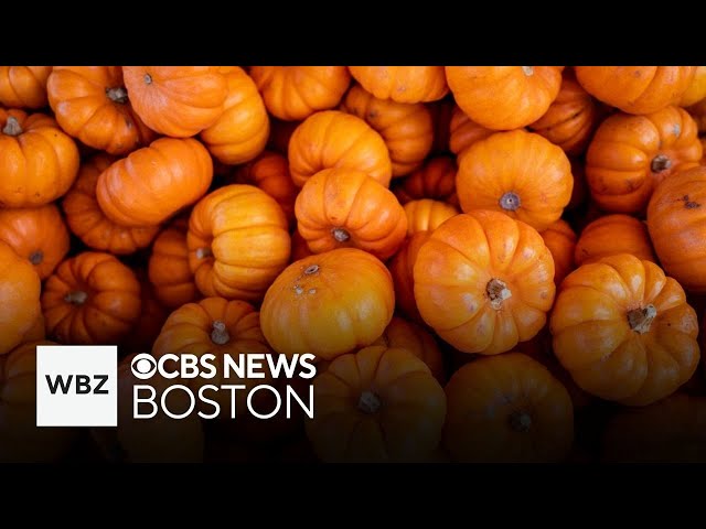 Fall weekend events happening in Massachusetts