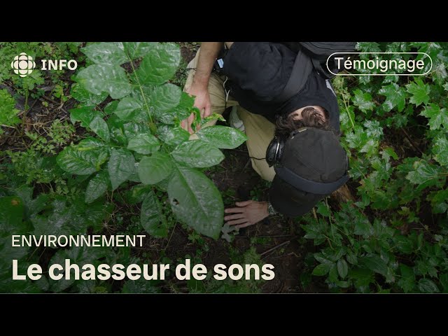 ⁣Écouter la nature avec le chasseur de sons