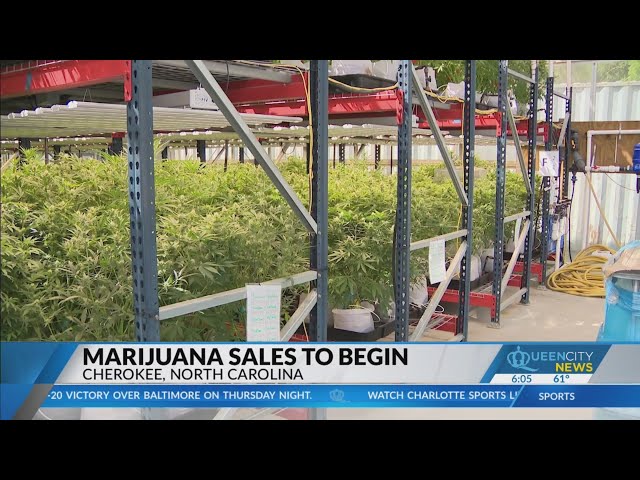 ⁣Cherokee marijuana sales to begin