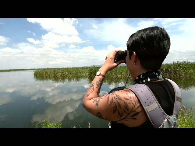 ⁣Parque Ecológico Lago de Texcoco fue inaugurado, pero no está terminado