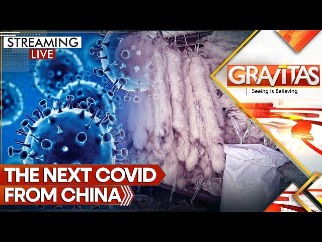 ⁣Next Covid From China: Killer Virus Found in Chinese Fur Farms | Gravitas LIVE | WION World News