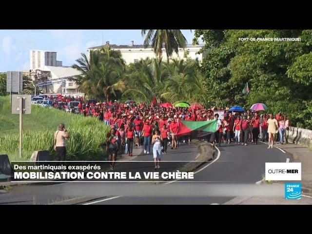 ⁣Un mouvement de contestation contre la vie chère aux Antilles • FRANCE 24