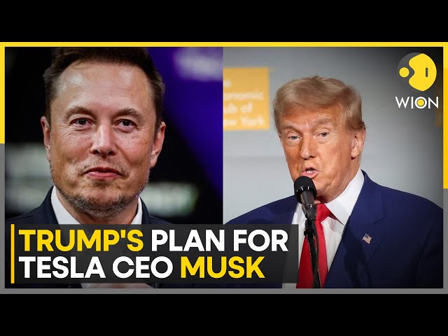 ⁣Donald Trump offers Elon Musk job to head goverment efficiency commission | WION