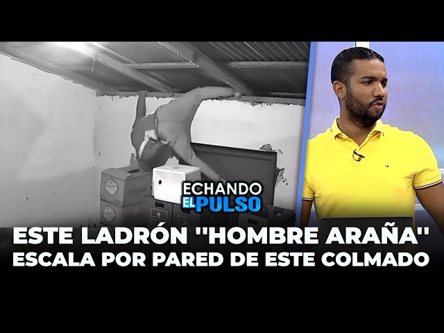 ⁣Este ladron Hombre Araña escala por pared de este colmado | Echando El Pulso