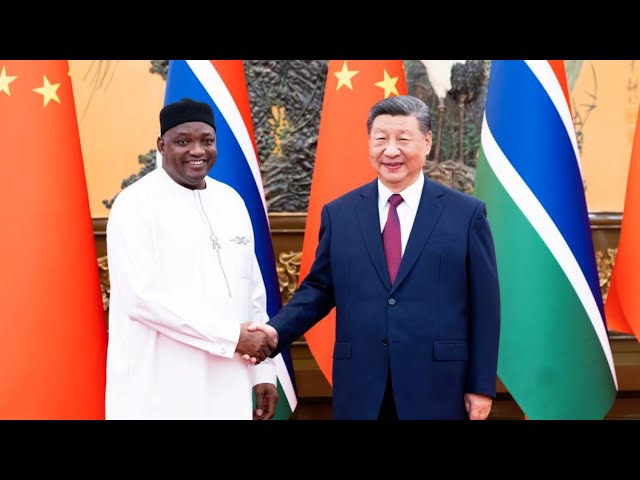 ⁣Xi Jinping: China and Gambia are partners on path of development and revitalization