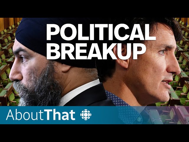 ⁣Why Trudeau's governing partner just abandoned him | About That