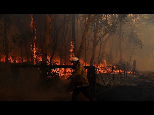 ⁣NSW RFS concerned over the upcoming bushfire season