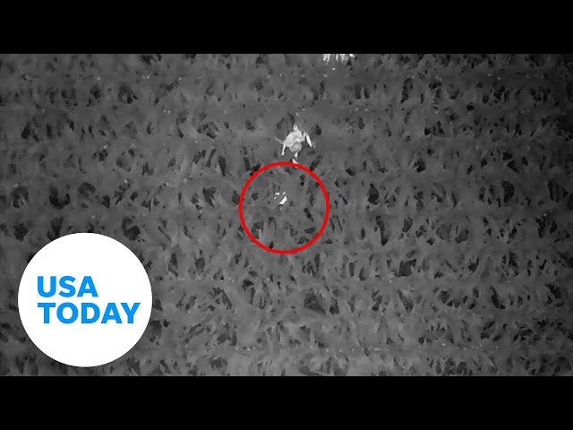 Thermal imaging drone used to rescue toddler lost in a cornfield | USA TODAY