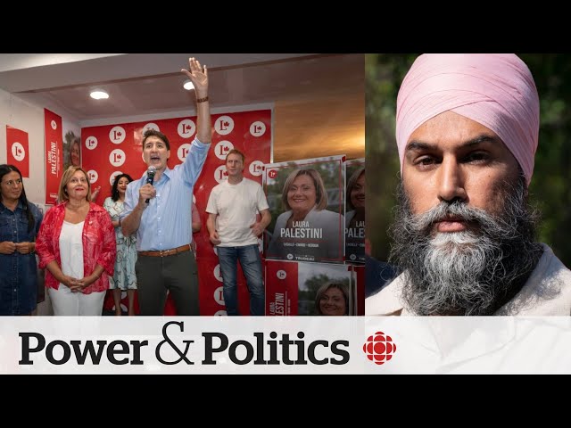 ⁣Has NDP-Liberal shakeup changed stakes in upcoming byelections? | Power & Politics