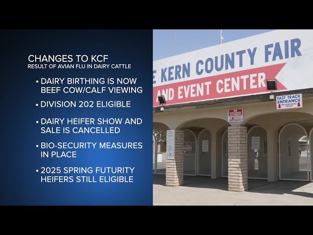 FFA, 4H dairy cattle events pulled from Kern County Fair following Avian Flu cases