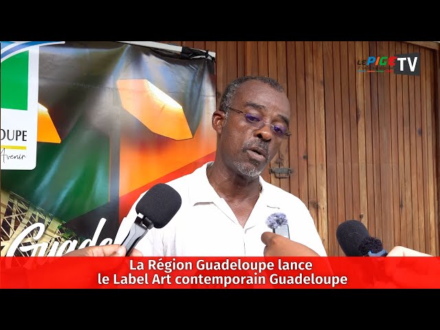 La Région Guadeloupe lance le Label Art contemporain Guadeloupe