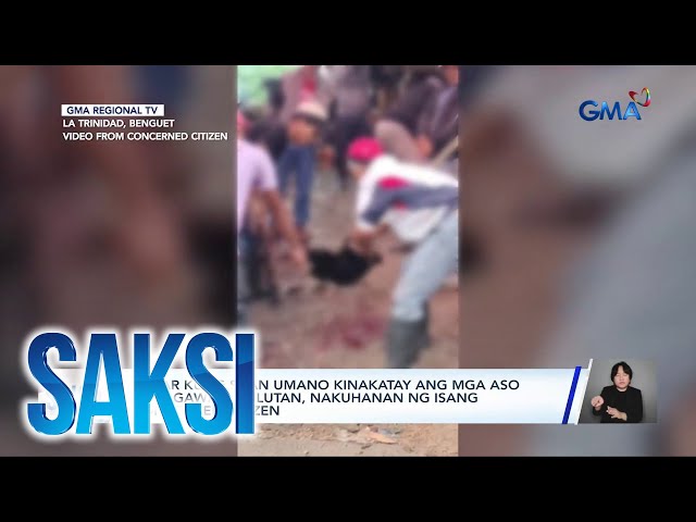 ⁣Lugar kung saan umano kinakatay ang mga aso para gawing pulutan, nakuhanan ng isang... | Saksi