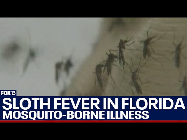 ⁣Concerns grow about new mosquito-borne illness