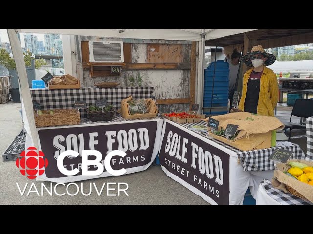 Metro Vancouver urban farm creates jobs