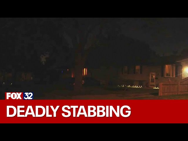 ⁣Joliet toddler stabbed to death by 6-year-old brother: police