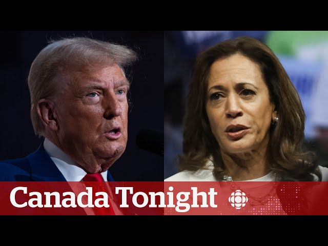 ⁣How are Trump, Harris courting the U.S. working-class vote? | Canada Tonight