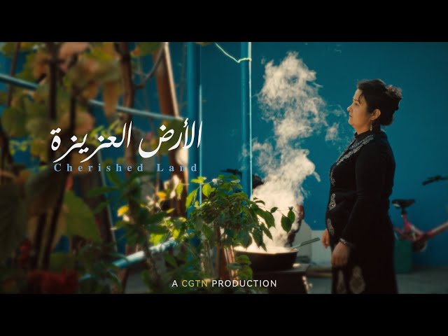 الفيديو الترويجي للفيلم الوثائقي "الأرض العزيزة"