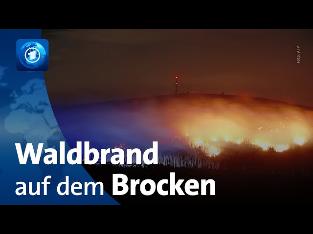 Waldbrand auf dem Brocken weitet sich aus