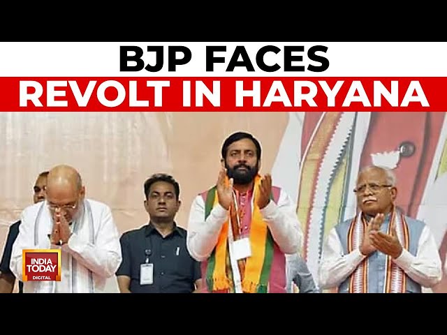 ⁣BJP Faces Revolt In Haryana, Multiple Resignations; Rebels To Contest Independent