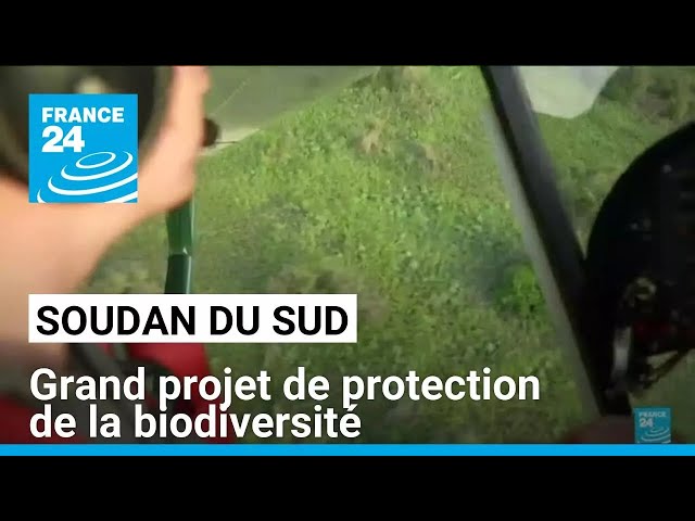 ⁣Soudan du Sud : grand projet de protection de la biodiversité • FRANCE 24