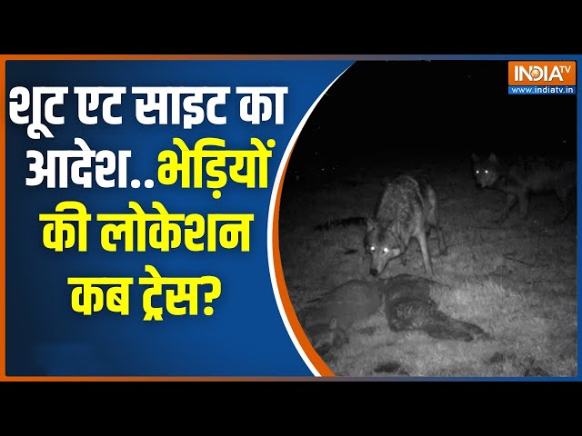 ⁣Wolf Attack In Bahraich: 18 शूटर-25 टीम-350 वर्दीधारी..फिर भी भेड़िए भारी | Forest Department