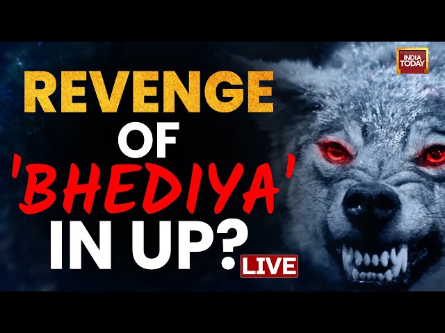 ⁣LIVE: Terror Of 'Bhediya' In UP | Wolf Attacks In Bahraich LIVE | Ground Report From Bahra