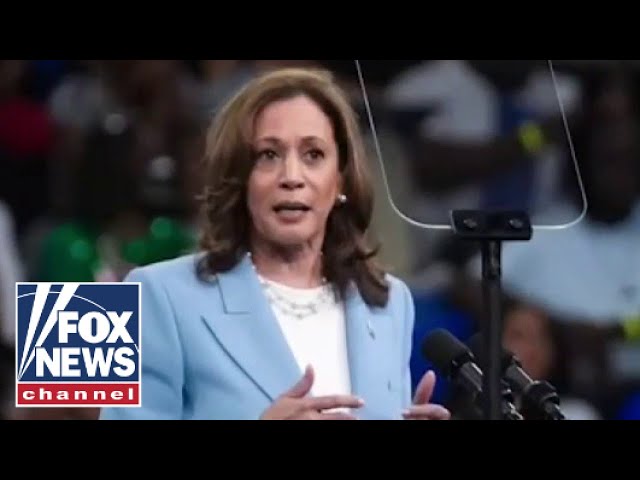 ⁣Taxes will rise if Kamala Harris becomes president: David Asman