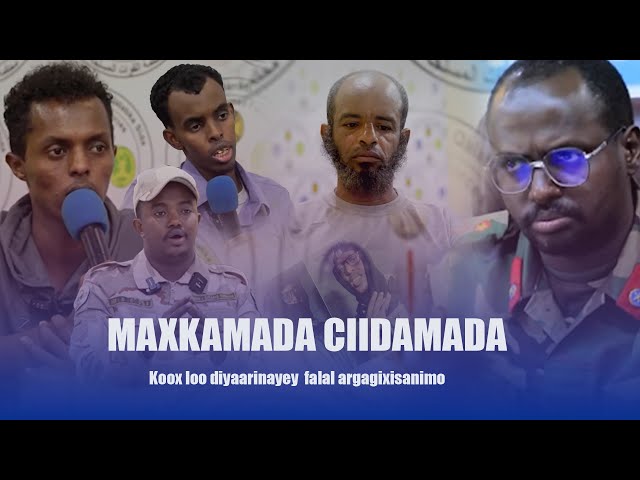 Koox loo diyaarinayey inay Falal argagixisanimo ka geeystaan Goballada Woqooyi ee Somalia.