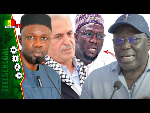 ⁣Propos de SONKO sur Israël et et cas Cheikh Omar Diagne : Babacar Gaye dénonce de graves erreurs et