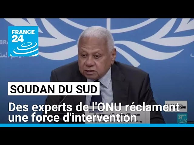 Soudan : des experts de l'ONU réclament une force d'intervention pour protéger les civils