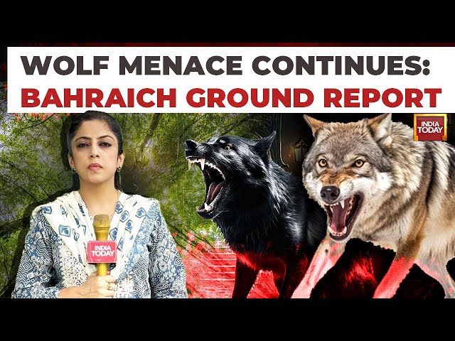 India Today In The Den Of Wolves! Why Has Bahraich Turned Into A Town Of Terror?