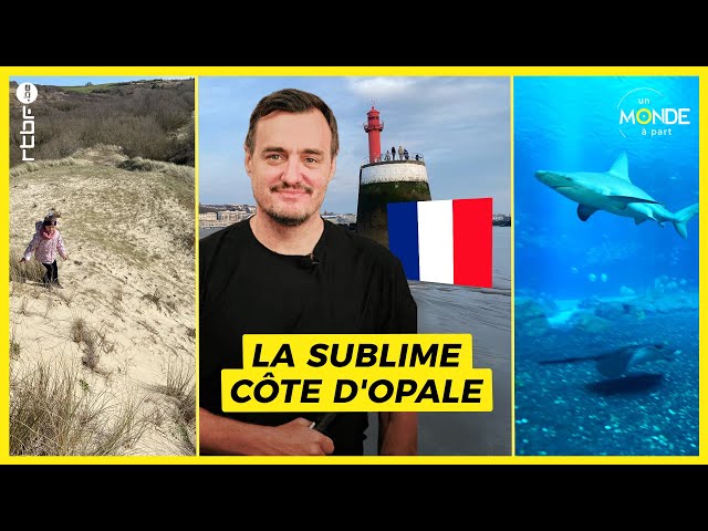 ⁣Côte d'Opale : découverte des paysages et de l'aquarium Nausicaa - Un Monde à part