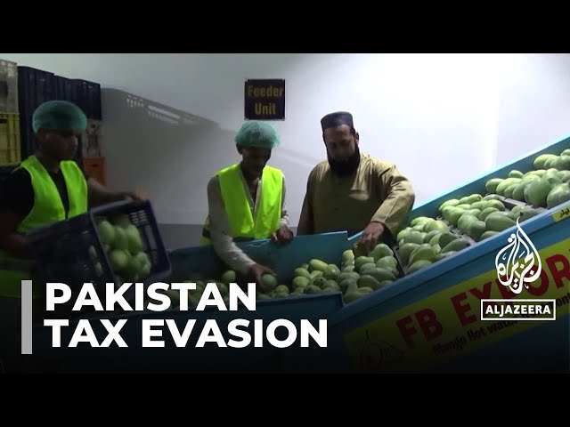 ⁣Pakistan targets tax evasion: Government looks to stabilize struggling economy