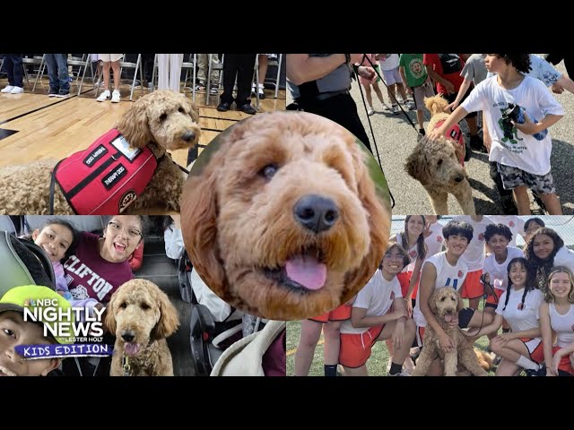 Chewie, the therapy dog, has an important job to inspire kids in school | Nightly News: Kids Edition