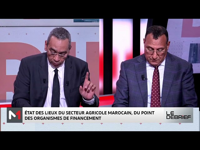 Focus sur le secteur agricole au Maroc