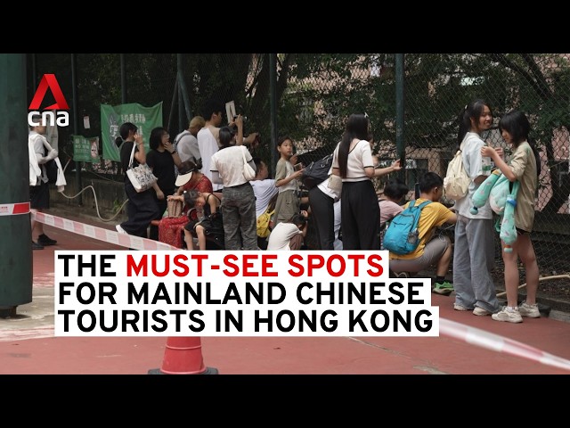 ⁣The must-see spots for mainland Chinese travellers in Hong Kong