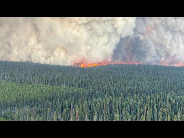 ⁣WILDFIRES IN CANADA | Crews retreat to safety as B.C. wildfires intensify