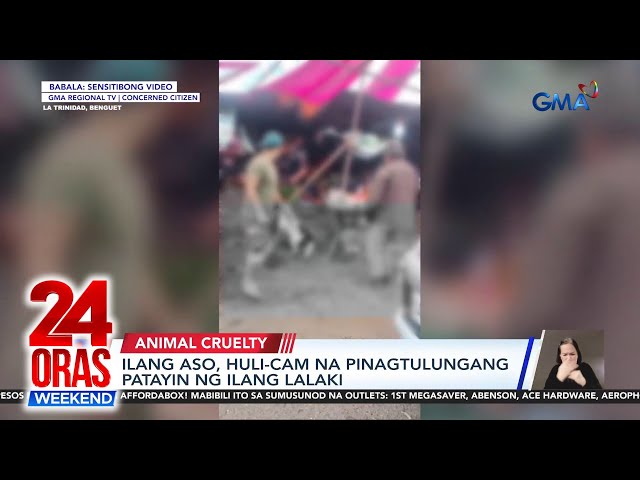 ⁣Isang aso, huli-cam na pinagtutulungang patayin ng ilang lalaki | 24 Oras Weekend