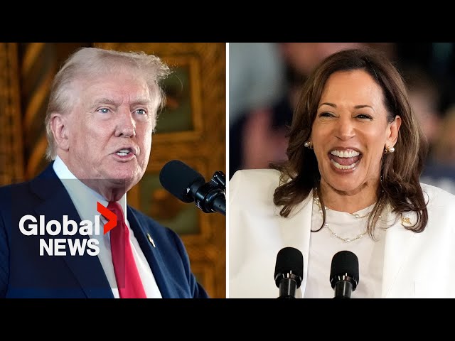 ⁣US election: Increasing number of Republicans rally behind Harris against Trump