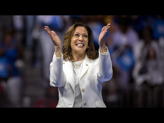 Media spreading ‘misinformation’ to provide cover for Kamala Harris