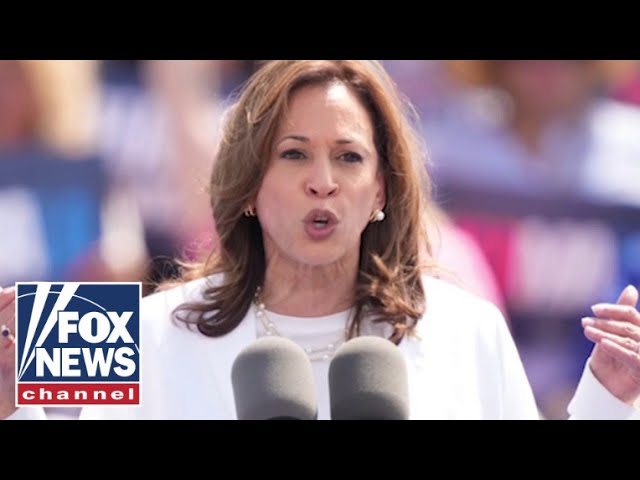 ⁣Kamala Harris is 'intentionally laying low': Mollie Hemingway