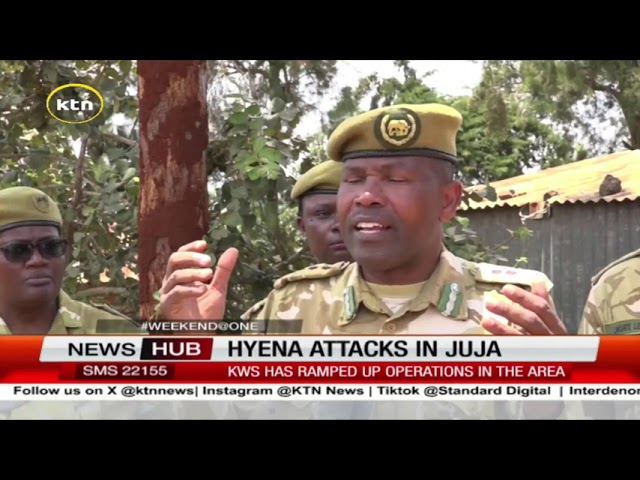 ⁣KWS ramps up operations in Juja after Hyena attacks escalate in the area