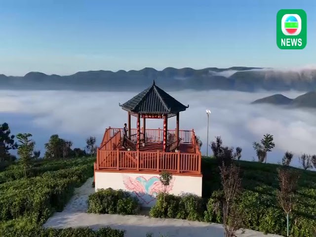 ⁣TVB News｜8 September 2024│Sea of Clouds in Hubei