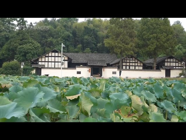 ⁣La clé du changement dans le village de Qingxi, dans le Hunan : la littérature